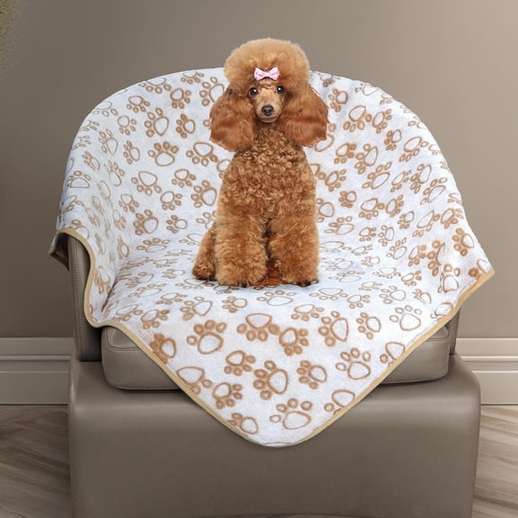 Premium Soft Dog Blanket Washable, 40"x32" Cat Blanket for Indoor Cats Large Medium Small Dog Puppy Essentials (Grey)