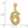 thumbnail image 2 of Auriga Fine Jewelry 14K Yellow Gold Polished Etched Number 6 Pendant for Women (L-16.96 mm,W-12.96 mm), 2 of 4