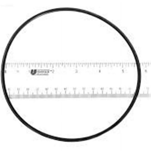 Waterway WW8050254 Filter Part O-Ring 254