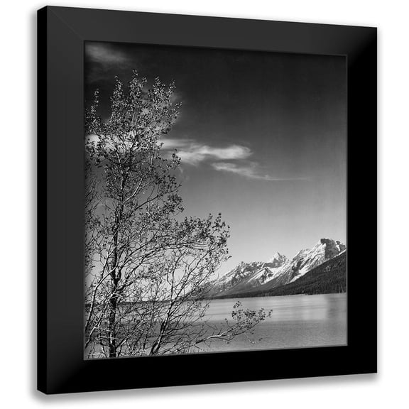 Adams, Ansel 12x14 Black Modern Framed Museum Art Print Titled - View of mountains with tree in foreground, Grand Teton National Park, Wyoming, 1941