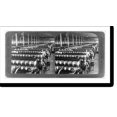 thumbnail image 2 of Historic Framed Print, In the great spinning room - 104,000 spindles - Olympian Cotton Mills, Columbia, South Carolina, 17-7/8" x 21-7/8", 2 of 9