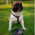 thumbnail image 4 of Retractable Dog Leash | Heavy Duty Pet Walking Leash with Anti-Slip Handle | One Button Brake, Pause & Lock - Suitable for Dogs & Cats, 4 of 38