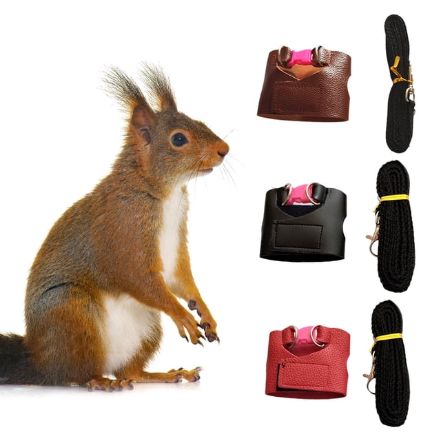Trayknick Squirrel Leash Escape Proof Easy Control Accessory Squirrel Train Tool Leash Split Vest for Outdoor Black