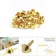 thumbnail image 3 of 50 Uds Tachuelas Redondas MetalPurse Pies Cabeza de Clavo Monedero Bolso Cono Pies Cabeza de Clavo Stud Spike Cuero Suministros para Manualidades Manualidades DIY ANGGREK Otros, 3 of 8