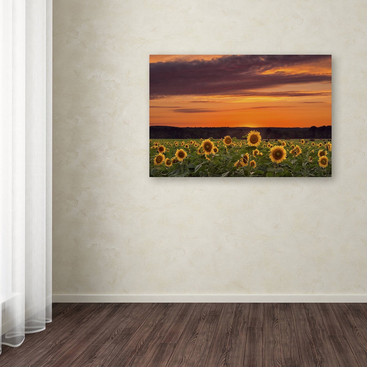 Trademark Fine Art Michael Blanchette Photography Sunflower Sunset Canvas Wall Art - 12x19