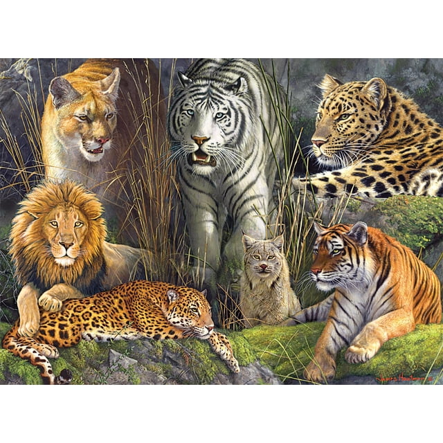 Rompecabezas Buffalo Games James Hautman Big Cat 1000 piezas