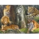 thumbnail image 1 of Rompecabezas Buffalo Games James Hautman Big Cat 1000 piezas, 1 of 6