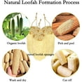 thumbnail image 7 of 5" Natural Loofah Exfoliating Body Sponge Scrubber for Skin Care in Bath Spa, Loofahs Sponge Pack of 3, 7 of 7