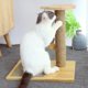 thumbnail image 2 of Natural Sisal Rope For Cat Scratch Pillar Repair And Replacement, Cat Trees, Scratch Tree, Cat Scrat, 2 of 5