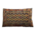 thumbnail image 1 of Ahgly Company Indoor Rectangular Contemporary Lumbar Throw Pillow, 13 inch by 19 inch, 1 of 5