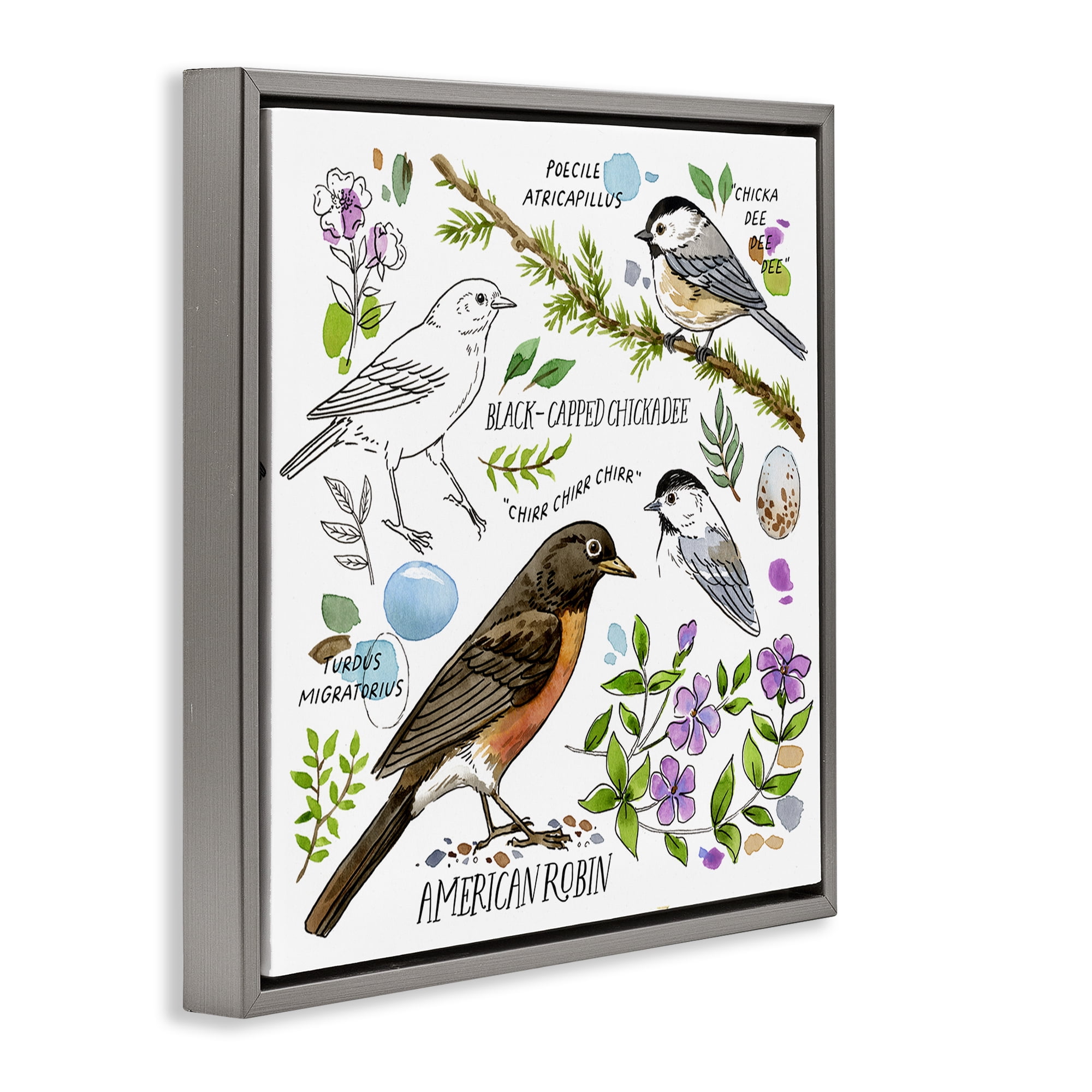 Stupell Industries Local Bird Watching Animals Painting Gray Floater Framed Canvas Art Print Wall Art, 25 x 25