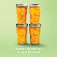 thumbnail image 7 of Ball Glass Nesting Mason Jars, Wide Mouth, Pint Size, 16 OZ, 4-Count (Pack of 3), 7 of 7