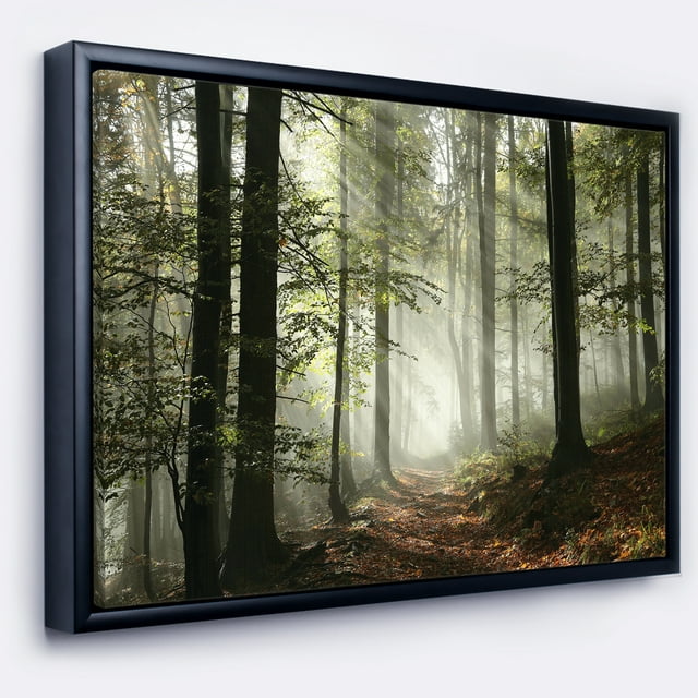 Designart - Lumière dans une Forêt d'Automne Dense avec Brouillard - Impression d'Art Paysager sur Toile Encadrée