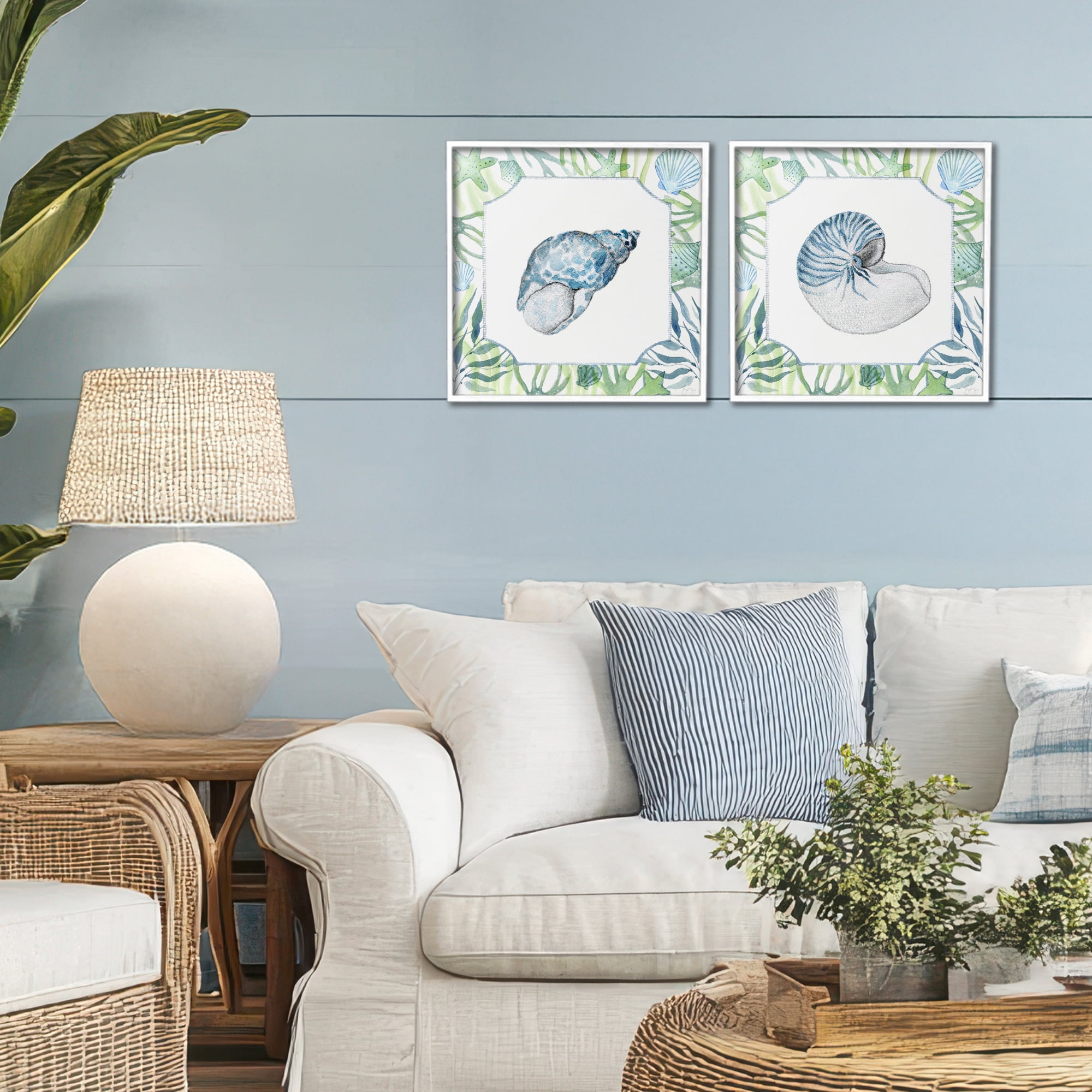 Stupell Industries Seaweed Bordered Seashells 2 Piece White Framed Giclee Art Set, design by Janet Tava