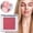 C, variant on Powder Blush Makeup - Highly Pigmented Blusher Compact, Satin Finish Buildable Color, Natural Glow Cheek Makeup, Travel Size Case, Daily Wear Beauty, Christmas Easter Gift, Women 1 Pack