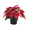 thumbnail image 3 of Planta de Pascua artificial navideña Flores artificiales navideñas Flores de imitación Estilo B, 3 of 9