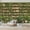Color 4, variant on Wallpaper Magical Cosmic Library Starry Sky Floating Planets Castle Peel and Stick Wall Murals 100"H x 144"W Removable PVC Wall Paper Self-Adhesive Wall Paintings Art Decor for Bedroom Living Room