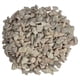 thumbnail image 1 of Piedra decorativa Smart Garden Rosetta Stone 01-M-25 Ideal para macetas, 1 of 2