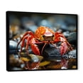 thumbnail image 2 of Designart "Jewels of the River Crayfish" Animals Floater Framed Canvas Wall Art, 2 of 7
