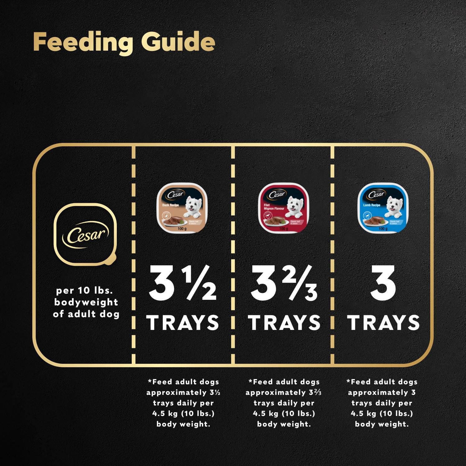 CESAR Classic Loaf in Sauce Wet Dog Food Delicacies Variety Pack, 24x100g Trays, 24x100g