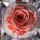 thumbnail image 2 of Mini rosa preservada Mina’an-flor eterna en cajita de regalo color Pink Néctar, 2 of 3