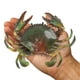 thumbnail image 1 of Simulación Mini Cangrejo Hugo Figuras Modelo Animales Educativos Juguetes de Simulación Verde, 1 of 10