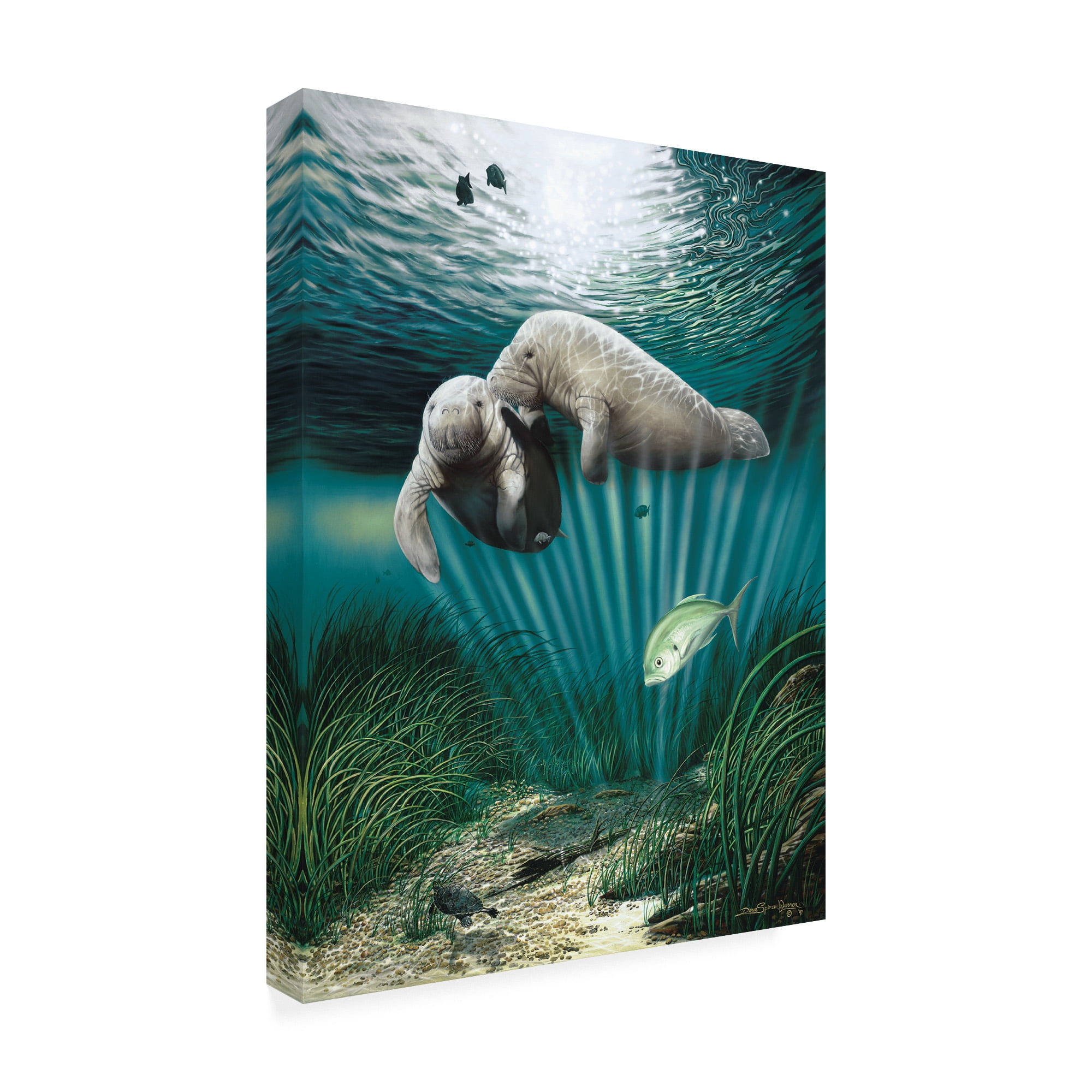 Trademark Fine Art 'Lazy Day Romance' Canvas Art by Dann Spider Warren