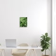 thumbnail image 5 of Stupell Industries Lush Green Leaves Vegetation Tropical Plant Photography Photograph Gray Framed Art Print Wall Art, Design by Gail Peck, 5 of 5