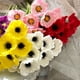 thumbnail image 5 of Xiao Hua Tallo de amapola artificial de PU de tacto real, flor de amapola de imitación, flor de loto plateada, adecuada para ramos de boda, decoración de flores para jardín, color morado, 8 tallos, 5 of 5