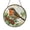 Acrylic 3.5 Inch, variant on Robin Bird Sun Catcher Stained Glass Style Michigan Floral Window Hanging