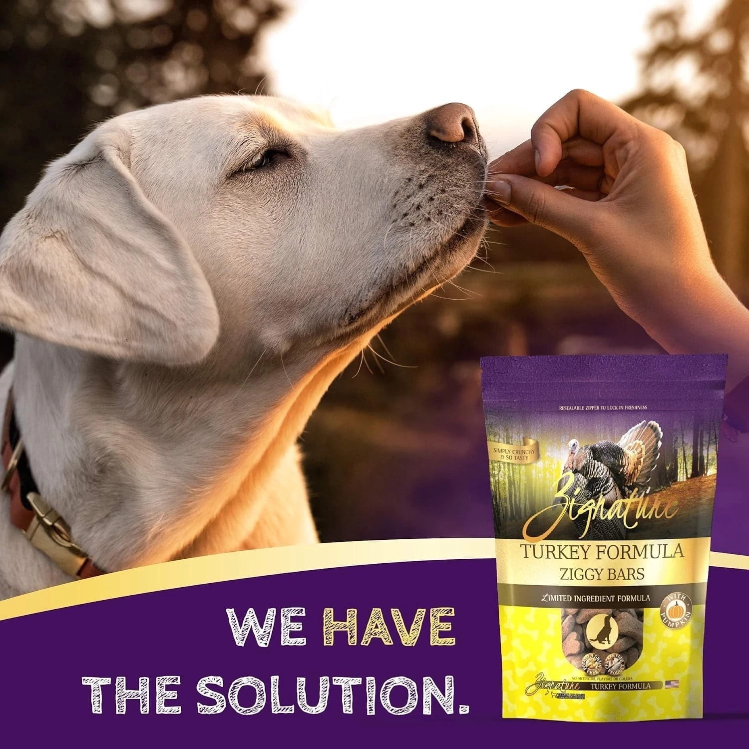 Zignature Limited Ingredient Ziggy Bar Dog Biscuits: 1 Turkey, 1 Lamb & 1 Trout