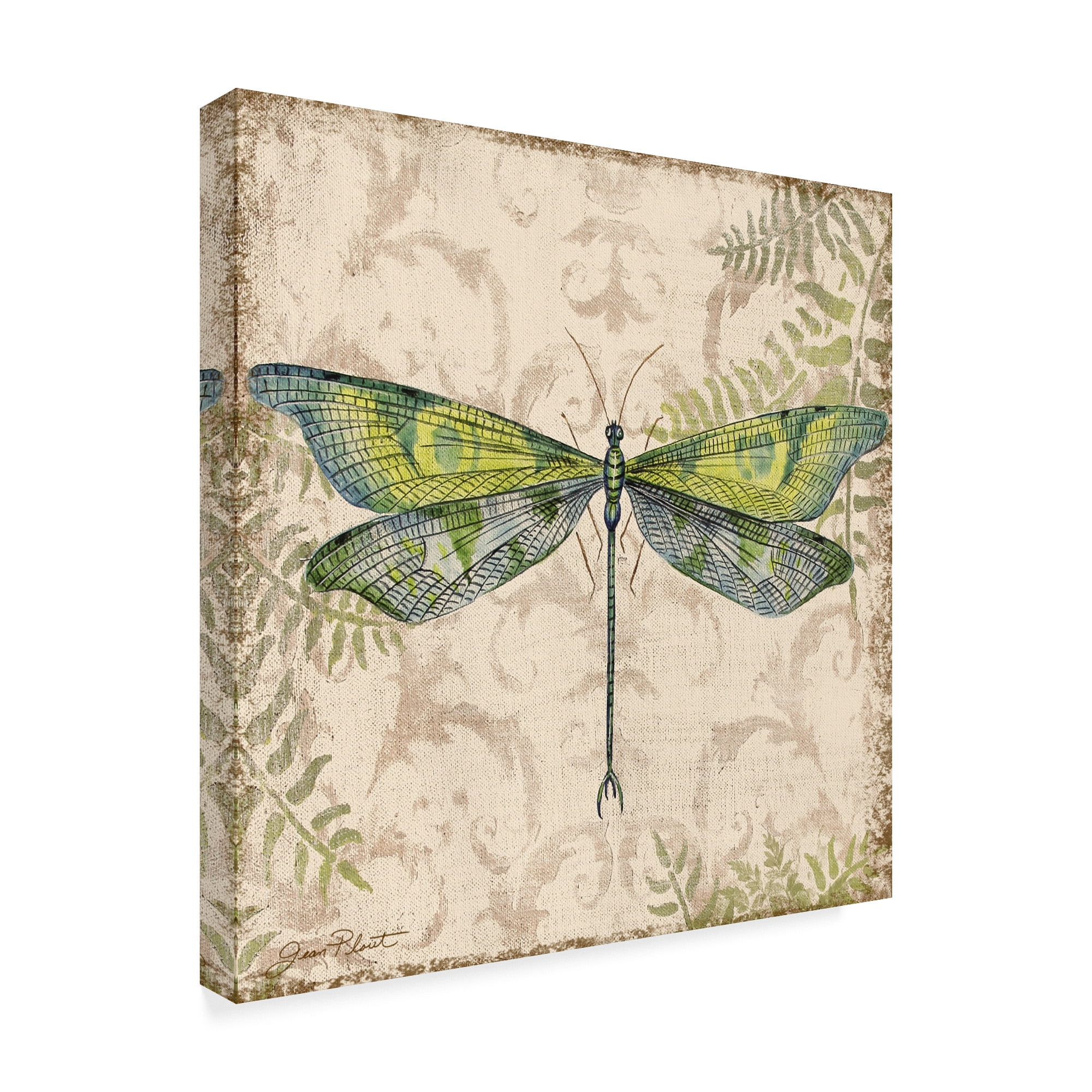 Trademark Fine Art 'Dragonfly Daydreams 3' Canvas Art by Jean Plout