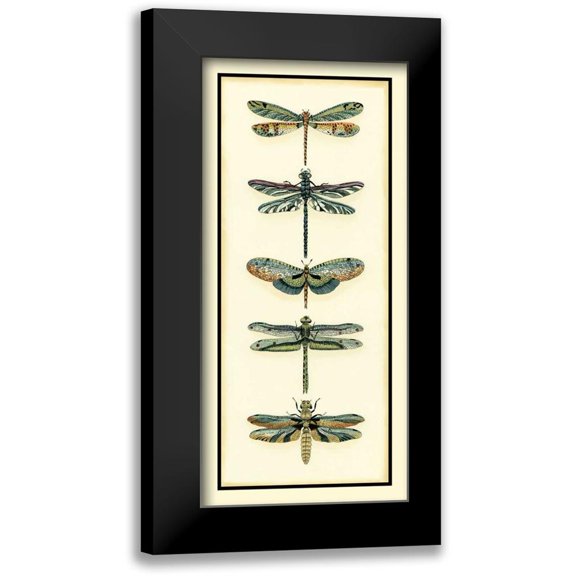 Zarris, Chariklia 9x14 Black Modern Framed Museum Art Print Titled - Dragonfly Collector II