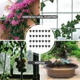 thumbnail image 2 of Miangastore 50pcs Plastic Flowerpot Fertilizer Boxes Practical Bonsai Fertilizer Containers, 2 of 8