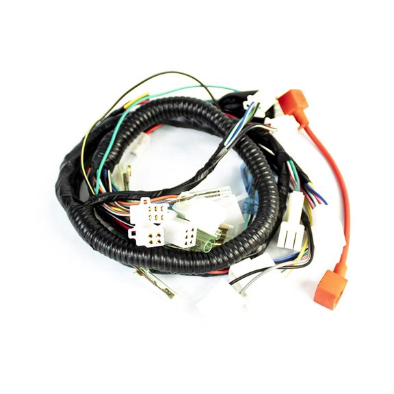 Arnes completo FT125 2005
