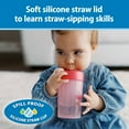 thumbnail image 5 of Dr. Brown's Milestones Straw-to-360 Convertible Toddler Cup Set, Pink/Coral, 10 oz, 9m+, 1 Pack, 5 of 13