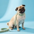thumbnail image 2 of Vibrant Life Adjustable Neoprene Cushioned Dog Collar, Sage Green, S, 2 of 11