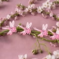 thumbnail image 3 of TIELUTT Orchid Clips 1.4x1.4 Inch Support Clips for and Climbing Transparent Garden Support Clips for Indoor Chips Clips Small Clips for Thick Hair Small Clips for Paperwork Nonslip Hair Clips Wet Cl, 3 of 5