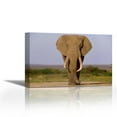 thumbnail image 1 of African Elephant bull, Amboseli National Park, Kenya - Contemporary Fine Art Giclee on Canvas Gallery Wrap - wall décor - Art painting - 27 x 18 Inch - Ready to Hang, 1 of 2