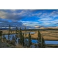 thumbnail image 2 of Galloimages Online 32x23 Black Ornate Wood Framed with Double Matting Museum Art Print Titled - S Curve Hayden Valley, 2 of 4