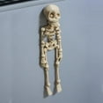 thumbnail image 6 of 3D Skeleton Magnets for Fridge,Unique Funny Full Body Skeleton Fridge Magnets with Movable Joints for Kitchen, Office and Locker Halloween Decoration (White), 6 of 7