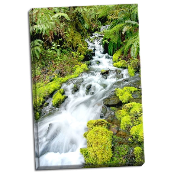 Gango Home Decor Mountain Stream by Douglas Taylor (Ready to Hang); One 24x36in Hand-Stretched Canvas
