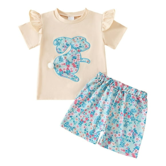 TBWNWG Girls Outfits & Sets Girls Embroidered Summer Outfit Short Sleeve Solid Color T Shirt And Floral Shorts Set for Young Girls,Size 2-3Years