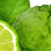 Bergamot
