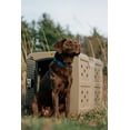 thumbnail image 5 of Dakota 283 G3 Framed Door Dog Kennel With Dakota Guard Antimicrobial - Medium - Coyote Granite, 5 of 5