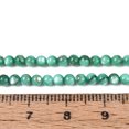 thumbnail image 4 of Natural Freshwater Shell Beads Strands Dyed Round Light Sea Green 2.5mm Hole: 0.5mm about 122~136pcs/strand 14.57 inch~15.63 inch(37cm~39.7cm) DIY, 4 of 4