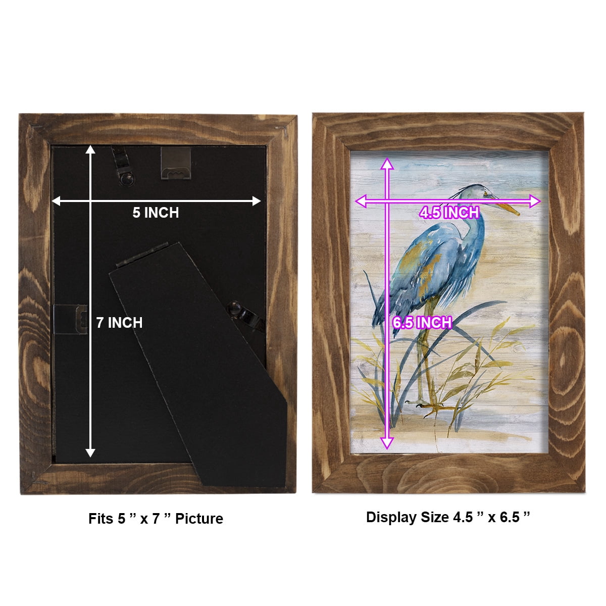 Blue Heron I -Framed Print w/glass-Walnut