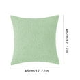 thumbnail image 3 of PATLOLLAV Green Plush Faux Fur Pillow Cover,One-sided Teddy Pillowcase,Velvet Reverse,18x18 Fluffy Decorative Pillowcases with Zipper Closure for Couch,Sofa,Bed, 3 of 5