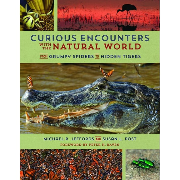 Curious Encounters with the Natural World: From Grumpy Spiders to Hidden Tigers, (Paperback)