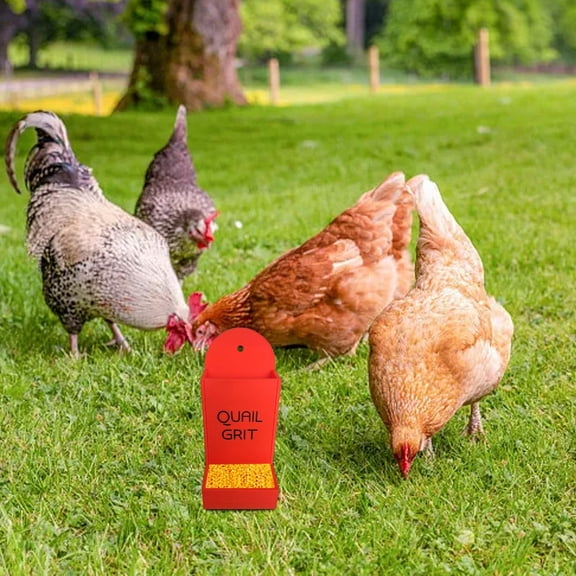 Gravel Feeder 3D Printed Automatic Pet Food Dispenser Durable Home for Outdoor Use